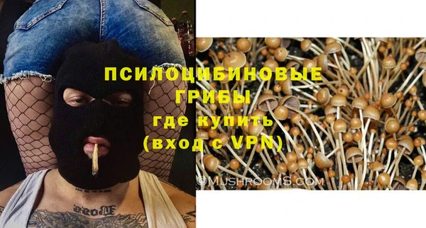 гашик Абаза