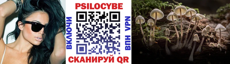 Псилоцибиновые грибы Psilocybe  Новотроицк 